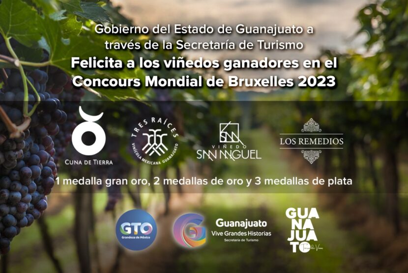 Silao: Obtiene vino de Guanajuato 6 medallas en Concours Mondial de Bruxelles.
