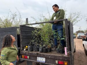 Purísima reforestó este fin de semana 4 hectáreas en el ANP del Cerro del Palenque. Lluvias de días previos facilitaron mover la tierra para plantar 1000 árboles.