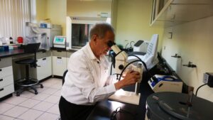 UG impulsa investigación que mejora la calidad de vida de niñas, niños y adolescentes con diabetes tipo 1
