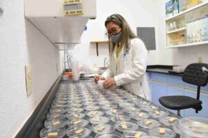 IRAPUATO PROYECTA MÁS OPORTUNIDADES DE ESTUDIO, EMPLEO Y DESARROLLO