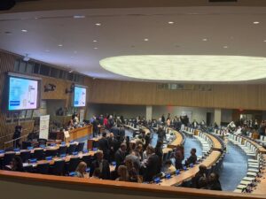 Celaya participando en el Foro Político de Alto Nivel sobre el Desarrollo Sostenible (HLPF 2026)
