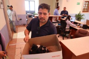 Abandonan a cachorros en el jardín principal y hacen un llamado a la conciencia