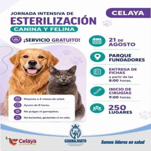 SSG REALIZARA JORNADA GRATUITA DE ESTERILIZACION PARA PERROS Y GATOS EN CELAYA
