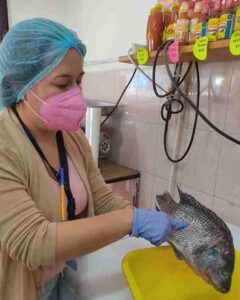 SSG pide reforzar medidas de higiene al preparar alimentos para prevenir enfermedades gastrointestinales.
