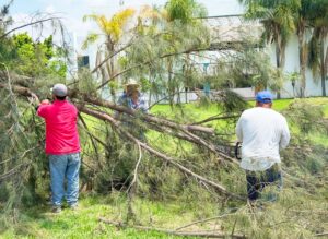 GOBIERNO DE CORTAZAR RESPALDA A LA UPG TRAS AFECTACIONES POR LLUVIAS.