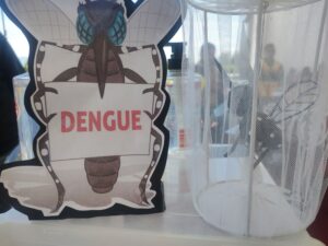 SSG registra una reducción del 60 por ciento en casos de dengue en relación con el año pasado