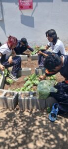 Guanajuato obtiene Primer Lugar Nacional y cuatro reconocimientos en “Escuelas por la Tierra 2025-2026”